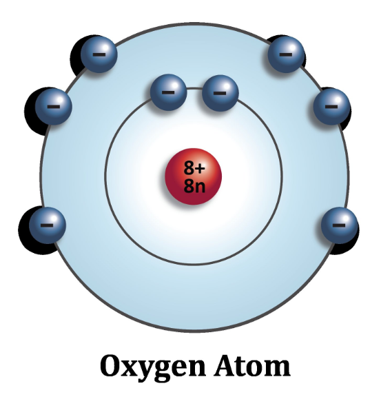 Whieda анионовая продукция для здоровья