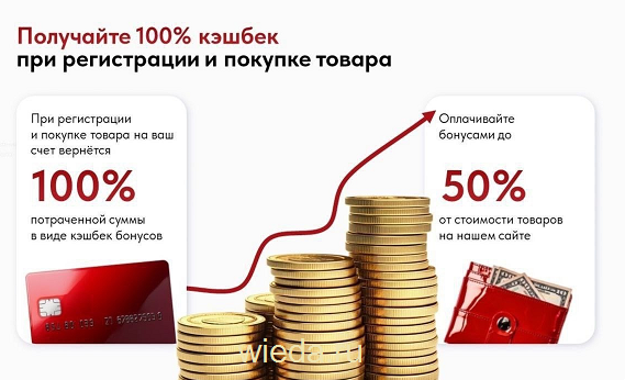 Стать партнером Виеда в Санкт-Петербурге