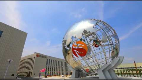 Whieda компания