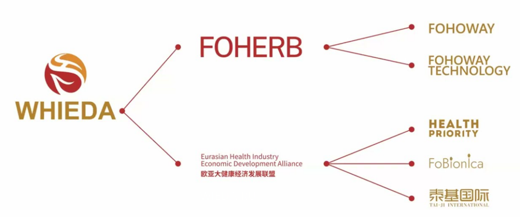 Компания Whieda