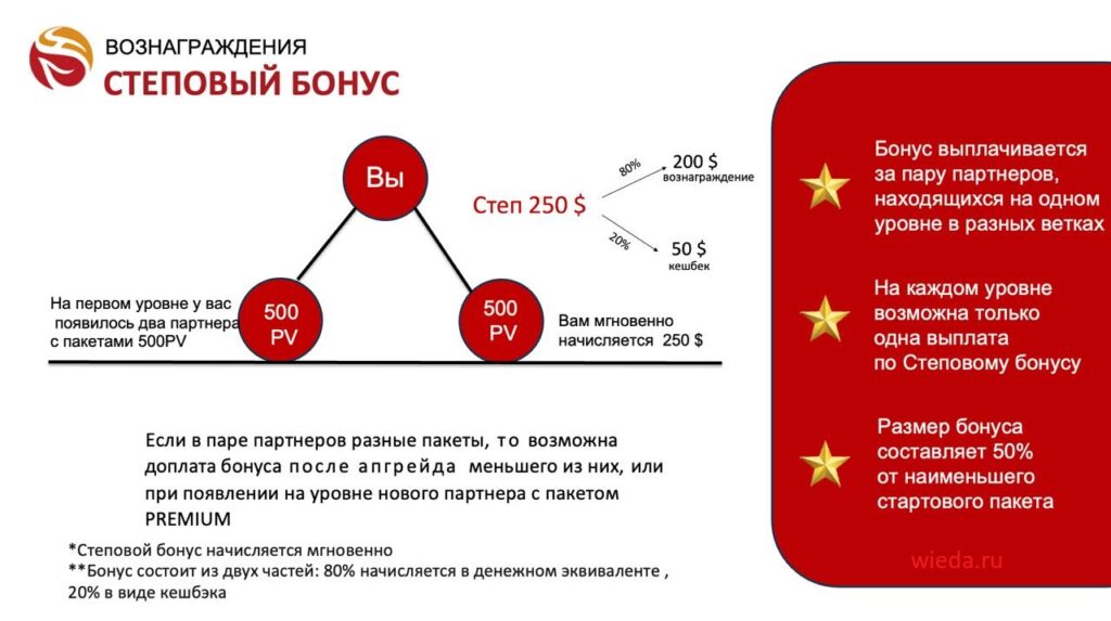 Бонусы Виеда